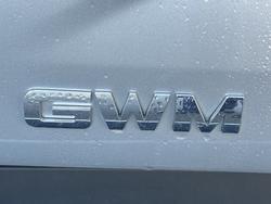 2022 GWM Ute