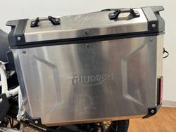 2023 Triumph TIGER 900 RALLY GREEN