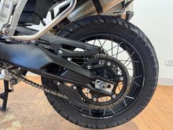 2023 Triumph TIGER 900 RALLY GREEN