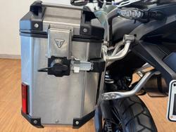 2023 Triumph TIGER 900 RALLY GREEN