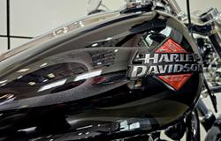 2025 Harley-Davidson Breakout 117 (FXBR) Softail