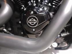 2025 Harley-Davidson Breakout 117 (FXBR) Softail Black