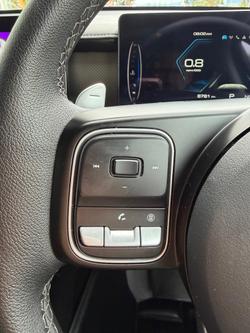 2025 GWM Cannon Vanta