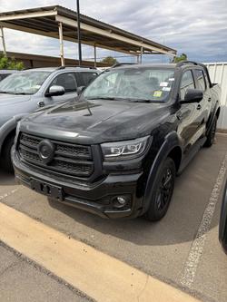 2025 GWM Cannon Vanta