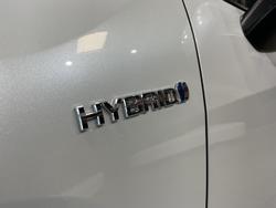 2024 Toyota RAV4 Cruiser