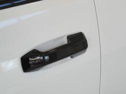 2025 LDV Terron 9 Origin