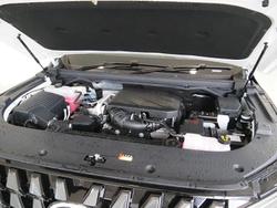 2025 LDV Terron 9 Origin