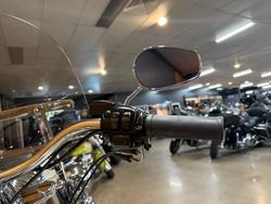 2013 Harley-davidson FLSTN SOFTAIL DELUXE White