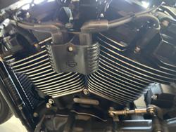 2021 Harley-Davidson Street Bob 114 (FXBBS) Softail White