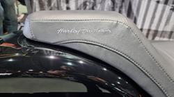 2025 Harley-davidson FXBR BREAKOUT (117) Vivid Black