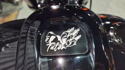 2025 Harley-davidson FXBR BREAKOUT (117) Vivid Black