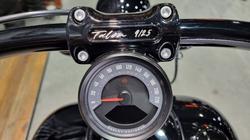 2025 Harley-davidson FXBR BREAKOUT (117) Vivid Black