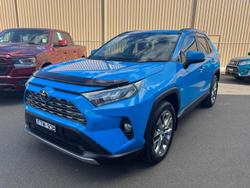 2019 Toyota
                RAV4 Cruiser