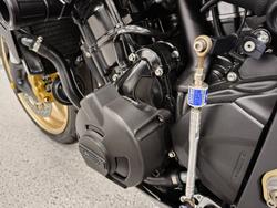 2010 Triumph STREET TRIPLE 675 grey