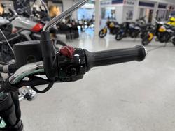 2024 Royal Enfield METEOR 350 AURORA Green