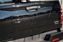 2025 GWM Cannon Vanta