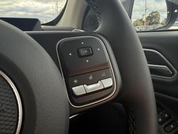 2025 GWM Cannon Vanta