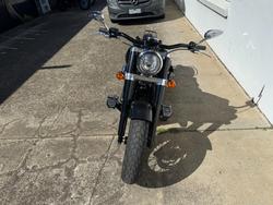 2019 Harley-Davidson FLSL SOFTAIL SLIM (107) black