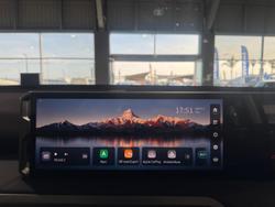 2025 LDV
Terron 9 Origin