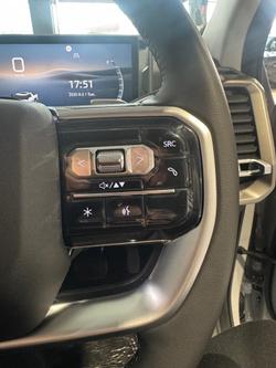 2025 LDV
Terron 9 Origin