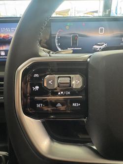 2025 LDV
Terron 9 Origin