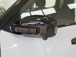 2025 LDV Terron 9 Origin