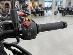 2025 Royal Enfield 2025 Royal Enfield 450CC HIMALAYAN 450 Road Black