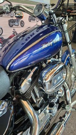 2009 Harley-davidson XL1200N SPORTSTER NIGHTSTER PURPLE