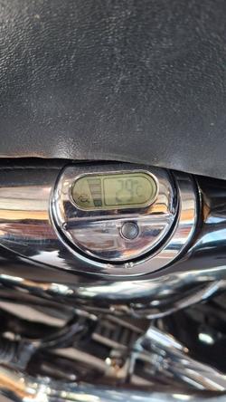 2009 Harley-davidson XL1200N SPORTSTER NIGHTSTER PURPLE