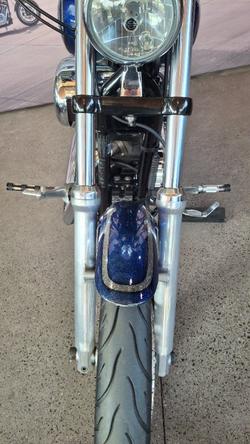 2009 Harley-davidson XL1200N SPORTSTER NIGHTSTER PURPLE