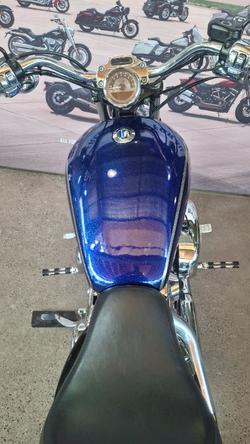 2009 Harley-davidson XL1200C SPORTSTER CUSTOM PURPLE