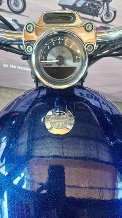 2009 Harley-davidson XL1200C SPORTSTER CUSTOM PURPLE