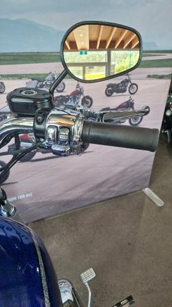 2009 Harley-davidson XL1200C SPORTSTER CUSTOM PURPLE