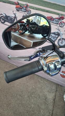 2009 Harley-davidson XL1200C SPORTSTER CUSTOM PURPLE