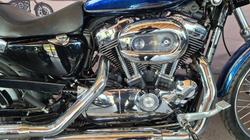 2009 Harley-davidson XL1200N SPORTSTER NIGHTSTER PURPLE