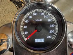 1998 Harley-davidson FXSTC SOFTAIL CUSTOM Blue