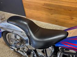 1998 Harley-davidson FXSTC SOFTAIL CUSTOM Blue