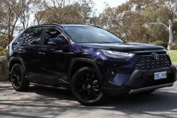 2024 Toyota
                RAV4 Cruiser