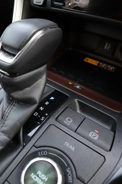 2024 Toyota
                RAV4 Cruiser
