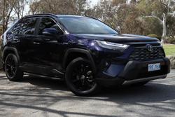 2024 Toyota
                RAV4 Cruiser