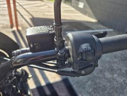 2020 Harley-Davidson Street 500 (XG500) Street Black