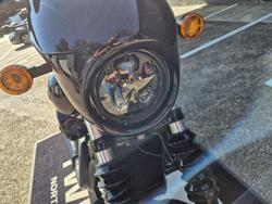 2020 Harley-Davidson Street 500 (XG500) Street Black