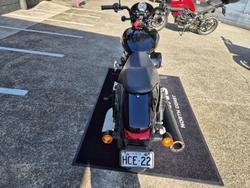 2020 Harley-Davidson Street 500 (XG500) Street Black