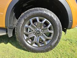2023 Ford
                Ranger Wildtrak