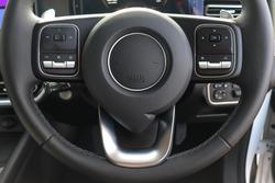 2025 GWM Ute Cannon Premium