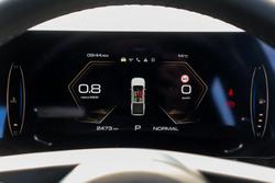 2025 GWM Ute Cannon Premium