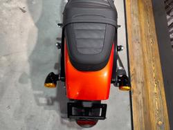 2024 Harley-davidson HD500-10A H-DX X500 DYNAMIC ORANGE