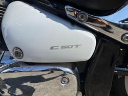 2020 Suzuki Boulevard C50T (VL800T) Boulevard White