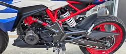2024 BMW Motorrad G 310 R BLUE