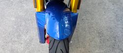 2024 BMW Motorrad G 310 R BLUE